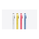 Apple iPad
