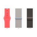 Apple Watch Series 11