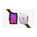 Apple iPad mini