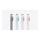Apple iPad mini