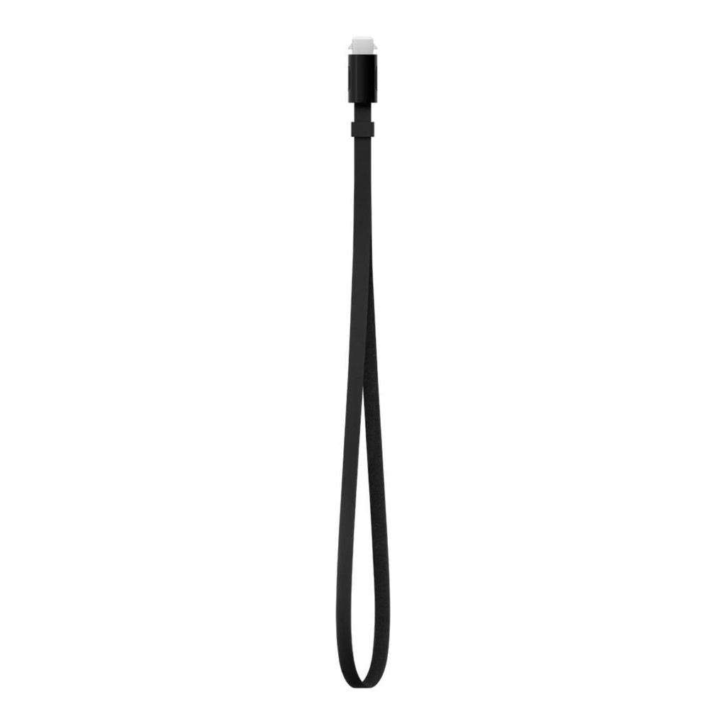 Apple Remote Loop
