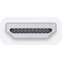 Apple HDMI to DVI Adapter - DataVision 1
