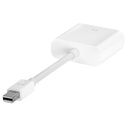 Apple Mini DisplayPort to DVI Adapter 3