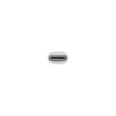 Apple, USB-C VGA Multiport Adapter 1