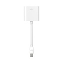 Apple Mini DisplayPort to DVI Adapter
