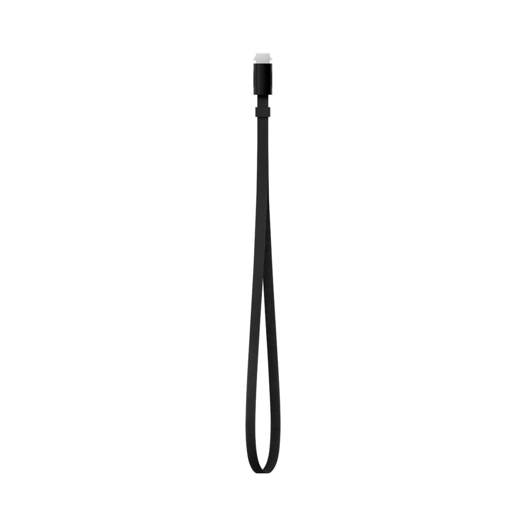Apple Remote Loop