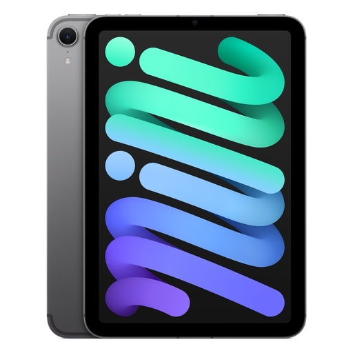 iPad mini